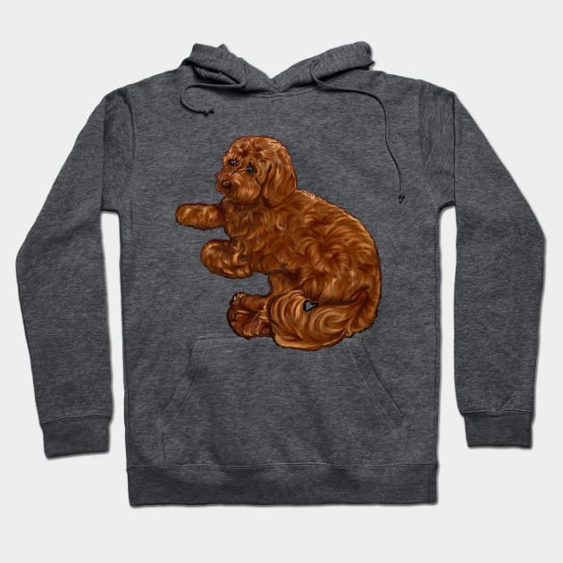 Cavapoo puppy dog vogue pose - cavalier king charles spaniel poodle, puppy love Hoodie by Artonmytee